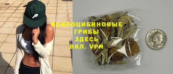 твердый Аркадак