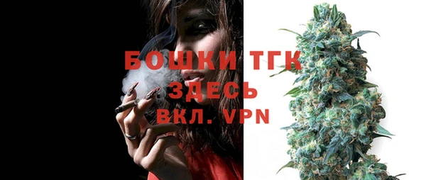 шишки Арсеньев