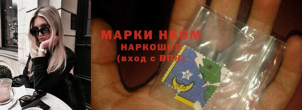 шишки Арсеньев
